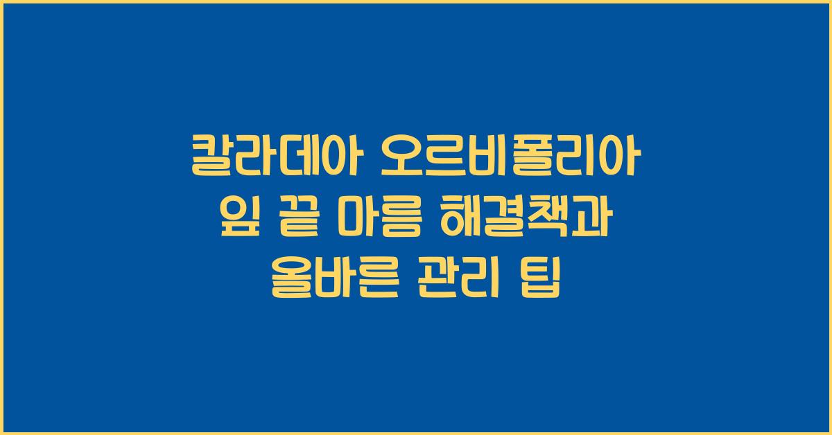 칼라데아 오르비폴리아 잎 끝 마름 해결책