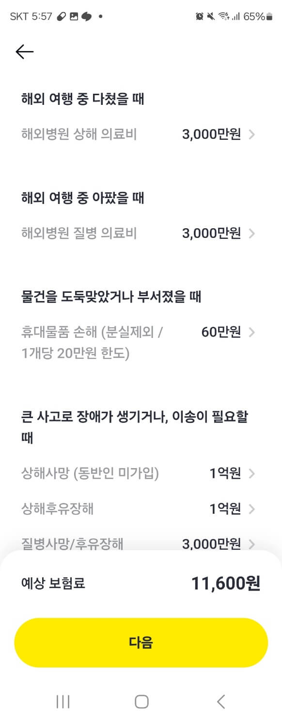 카카오페이 해외여행보험 보장 비교하기 캡처 사진