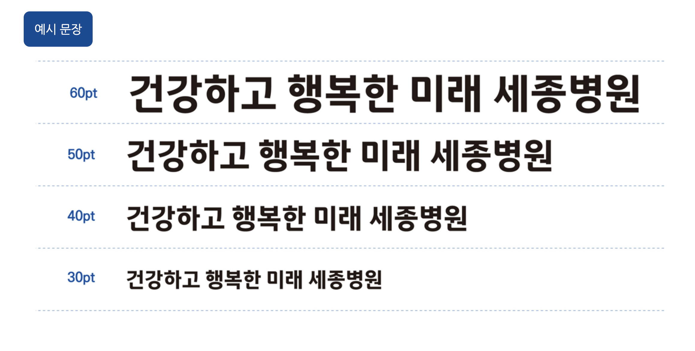 세종병원체 예시 문장