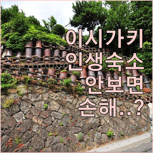 이시가키지마 숙소 추천 TOP 5 위..