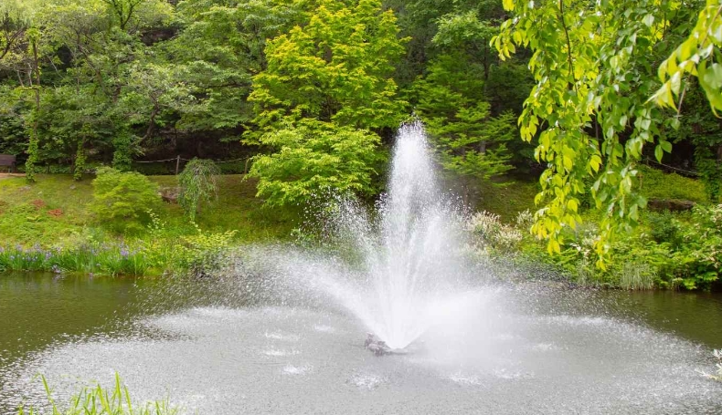 제이드 가든 수목원 
