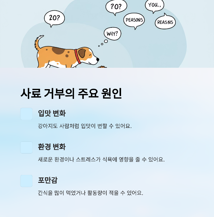 강아지 사료 안먹을때