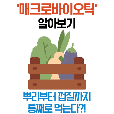 매크로바이오틱