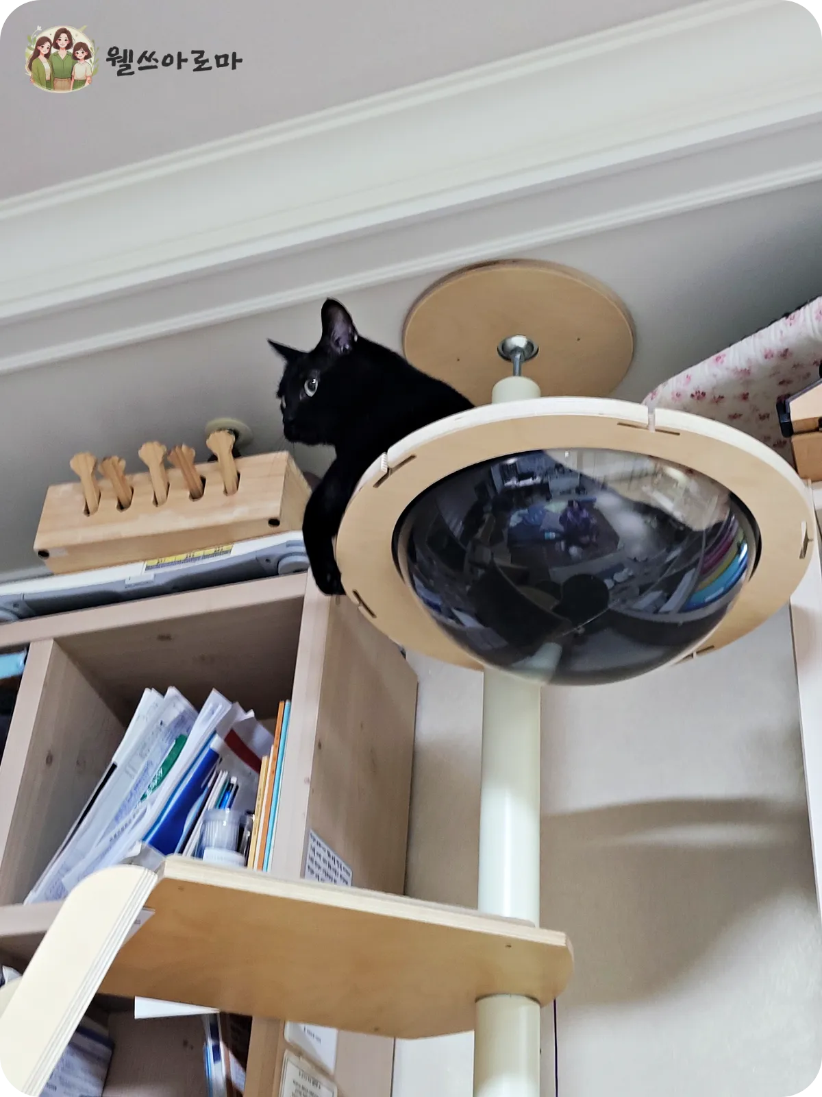 가또블랑코-아이언캣폴-까만고양이후추-아크릴해먹-클라이밍보드