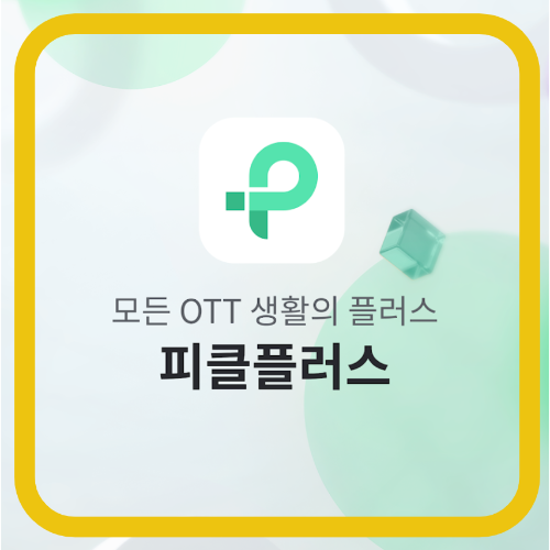 피클플러스