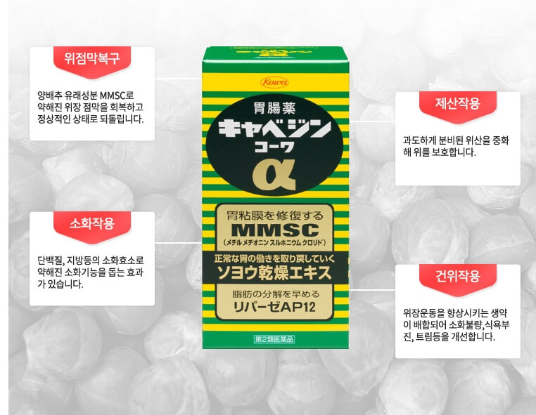카베진 가격 효능 일본 직구 구매