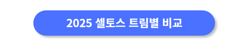 버튼