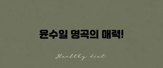 윤수일 히트곡 모음 메들리를 강력 추천합니다!