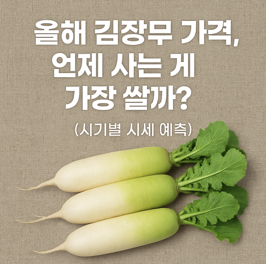 올해 김장무 가격, 언제 사는 게 가장 쌀까? (시기별 시세 예측)