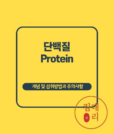 단백질 정의