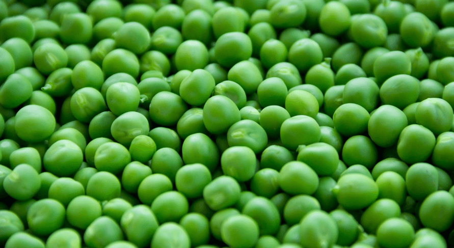 완두콩이 쌓여 있는 모습