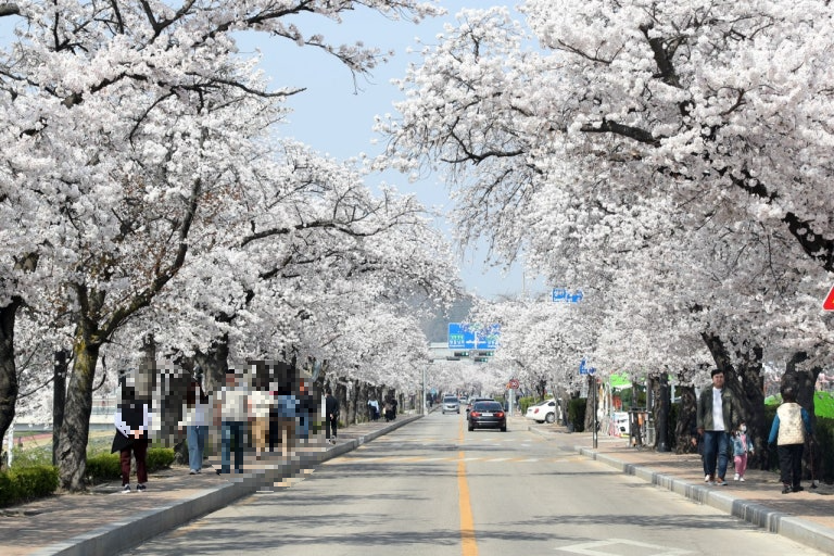정읍 가볼만한곳 베스트10