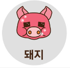 돼지띠