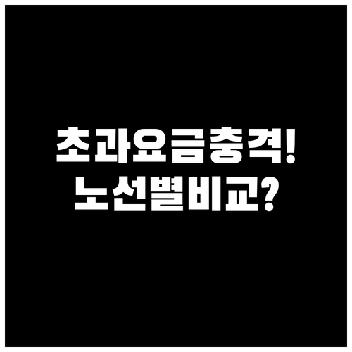 대한항공 위탁수하물 무게 초과 요금 ..