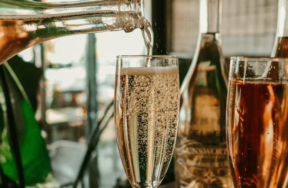 와인 종류별 건강 효과 비교: 레드 vs 화이트 vs 스파클링