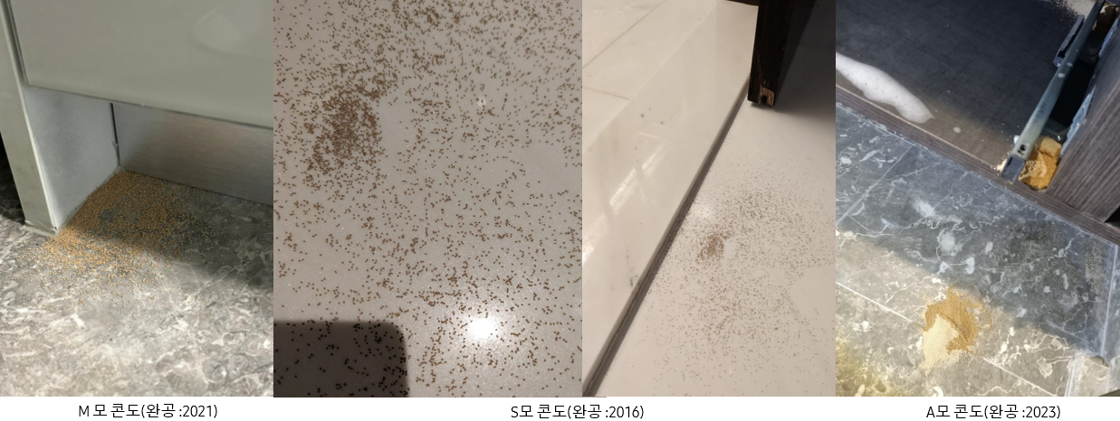 건목흰개미 발생사례