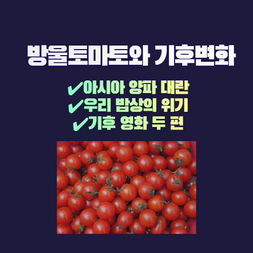 알트태그-방울토마토 포스팅의 썸네일