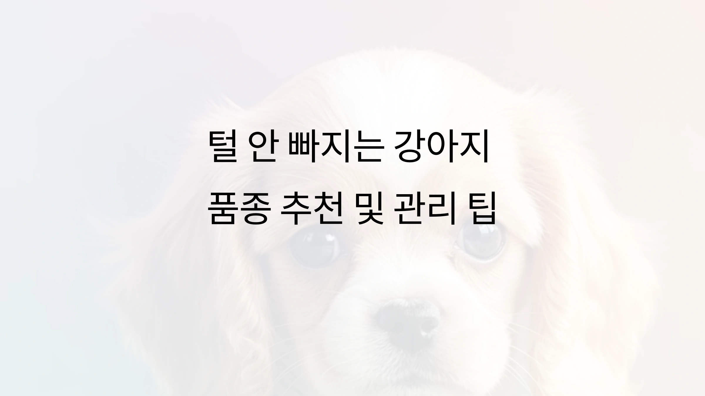강아지 털 안 빠지는 품종 추천 및 관리 팁