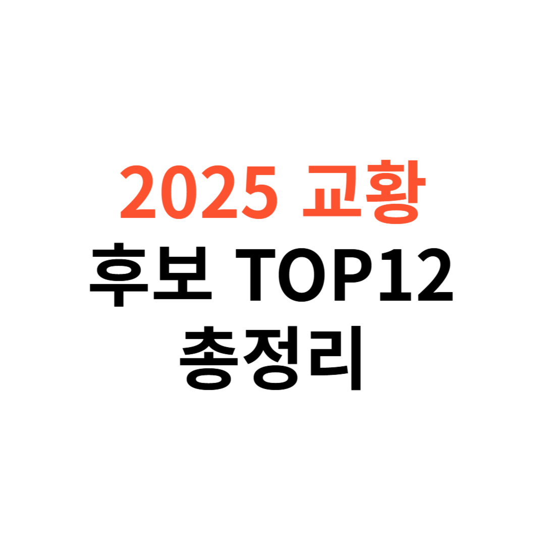 교황 후보 TOP 12