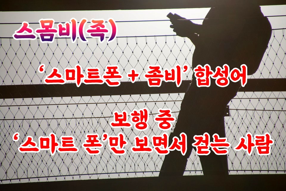 스몸비족 뜻