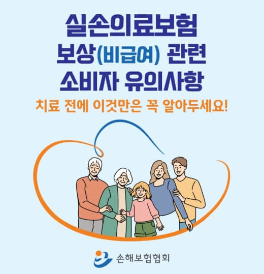 출처 손해보험협회