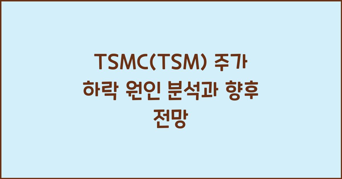 TSMC(TSM) 주가 하락 원인