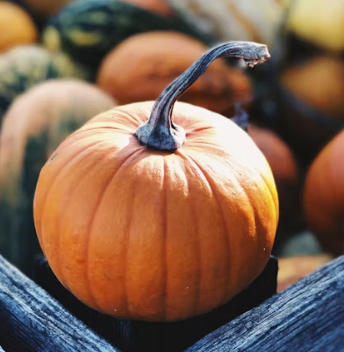 호박 효능과 부작용 고르는법 칼로리