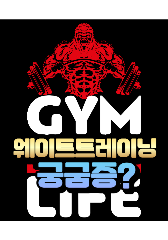 1.웨이트트레이닝 궁굼증?