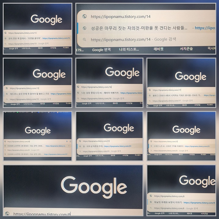 티스토리 블로그의 URL 검색 결과 다수 화면 캡처. 색인 등록 여부 확인 이미지
