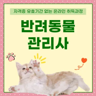 반려동물관리사 취득비용 온라인강의 취업처 은퇴 후 반려업 진입법_9