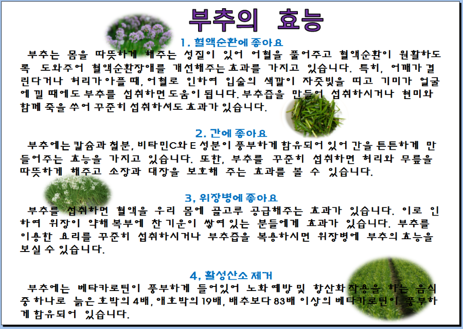 부추의 효능