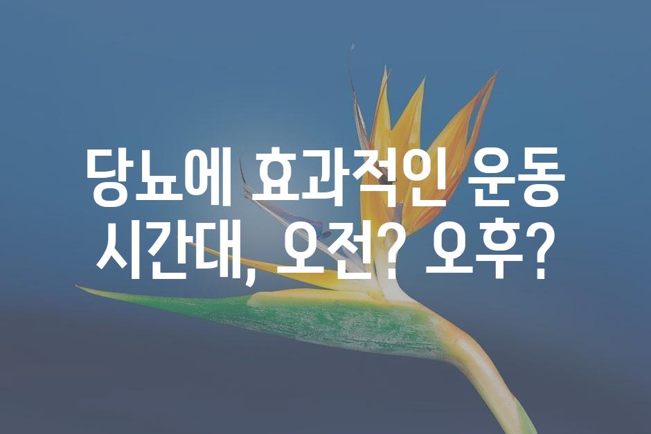 샘플 (45)