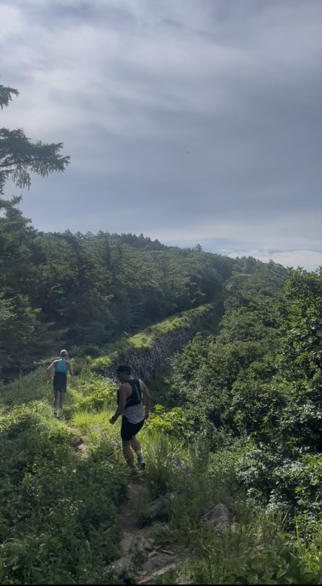 가산산성 산성길