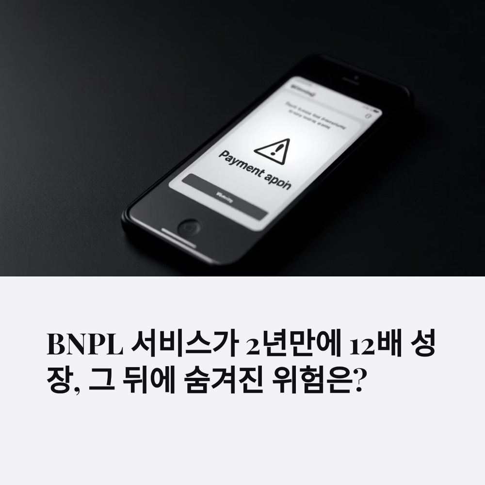 BNPL 규제 강화 썸네일