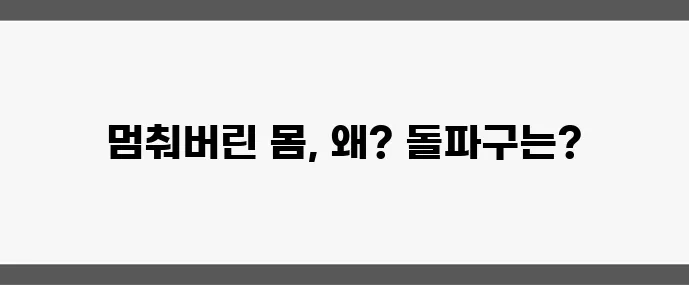 중년 체중 증가 원인과 해결책 살찌는 이유를 파헤쳐 보자!