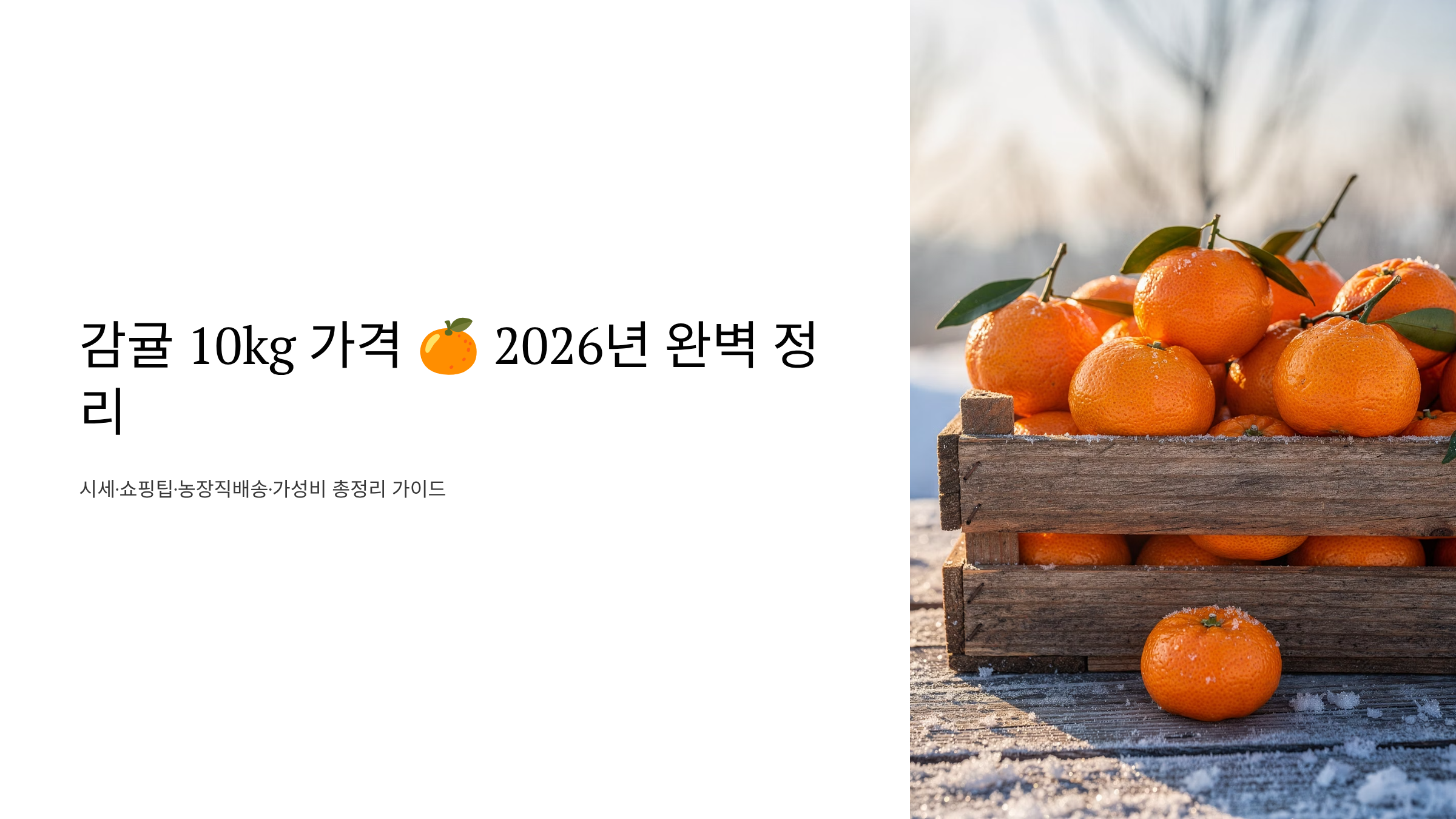 감귤 10kg 가격 알아보기