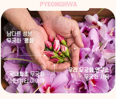 무궁핏 성분