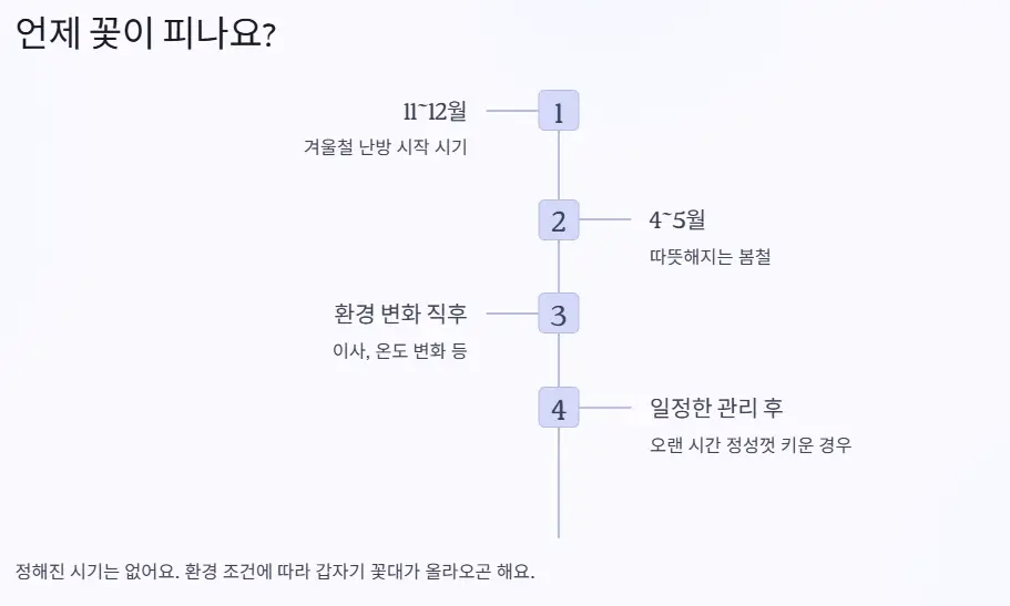 피는 시기
