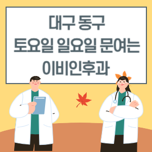 대구 동구 토요일 일요일 이비인후과 진료 문여는 병원 리스트