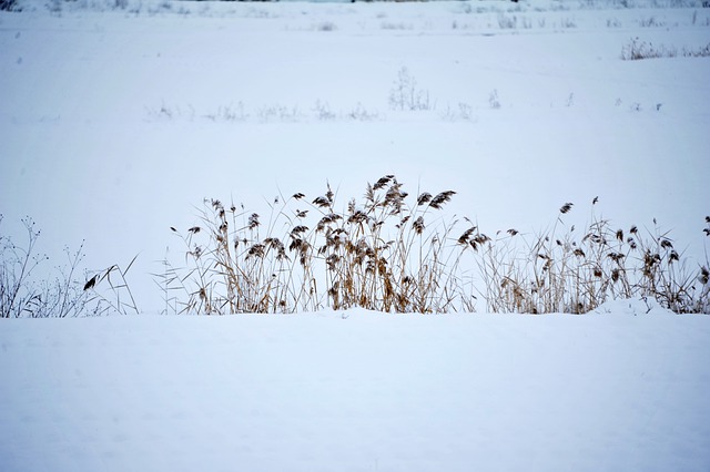 송구영신 대표 기도문 2021년-2022년