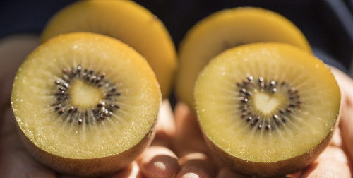 키위 효능 부작용