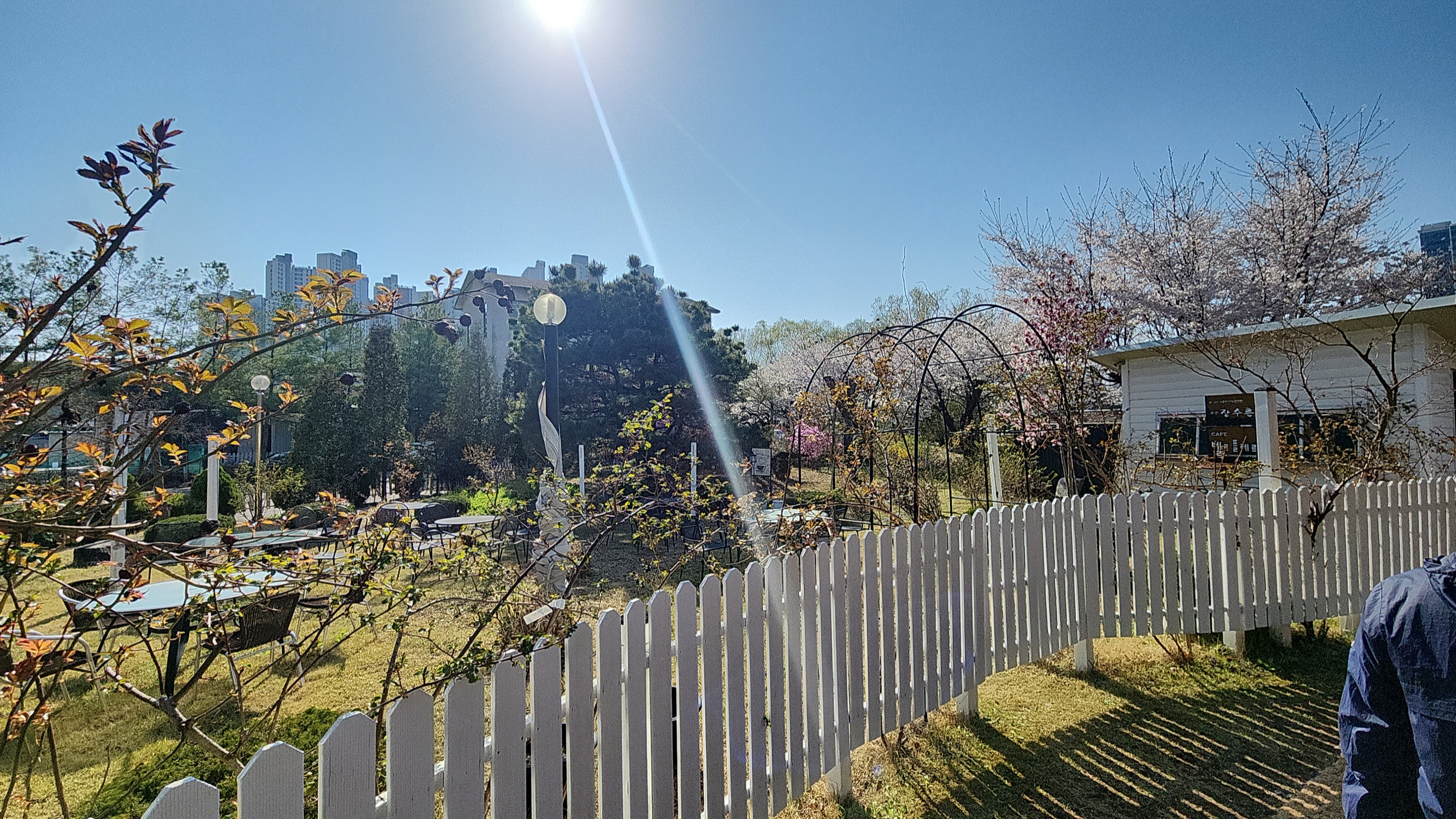 벚꽃 길 옆 카페