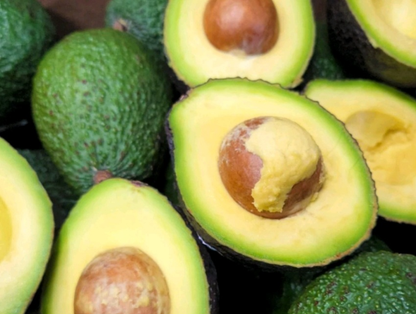 아보카도 1