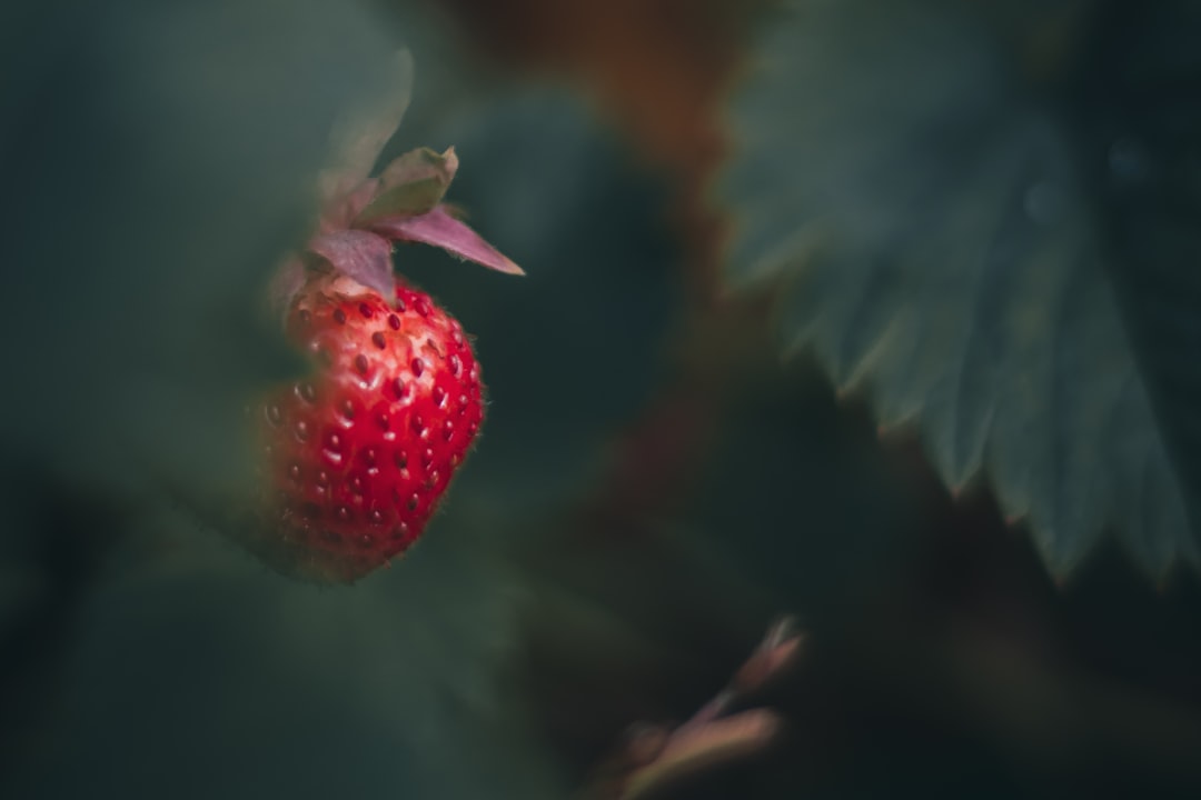 Strawberry