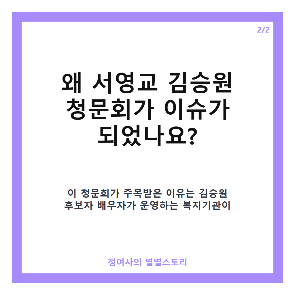서영교 김승원 청문회 핵심 쟁점과 배우자 돌봄기관 특혜 의혹 분석 카드뉴스 3