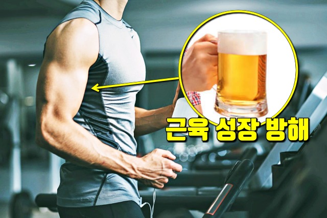 운동후 술마시면 안되는 이유,근손실,근성장,다이어트 건강