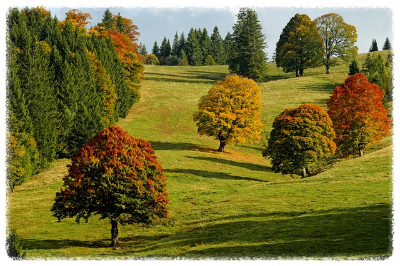 화담숲 가을 단풍 축제 기간 예약 입장료 방법
