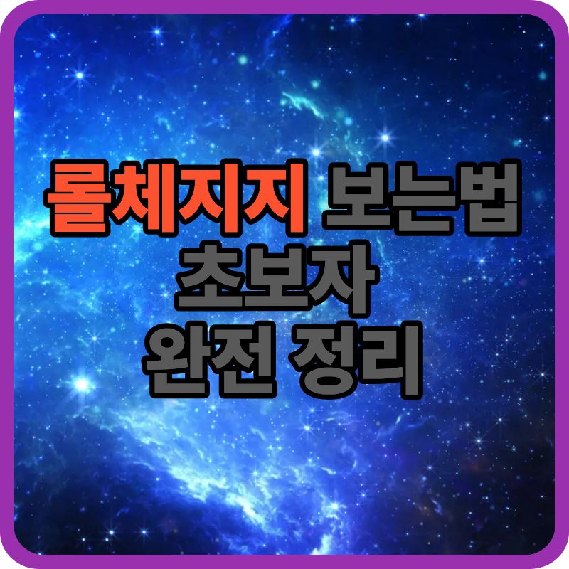 🎮 롤체지지 보는법 완벽 정리｜초보자도 바로 이해하는 사용 가이드