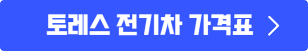 토레스EVX가격