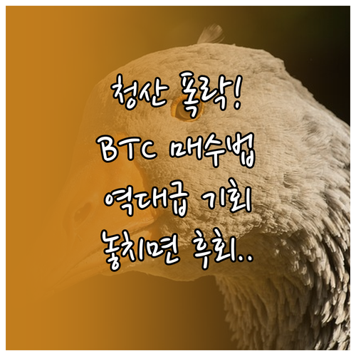 대규모 청산 이벤트가 만드는 비트코인..